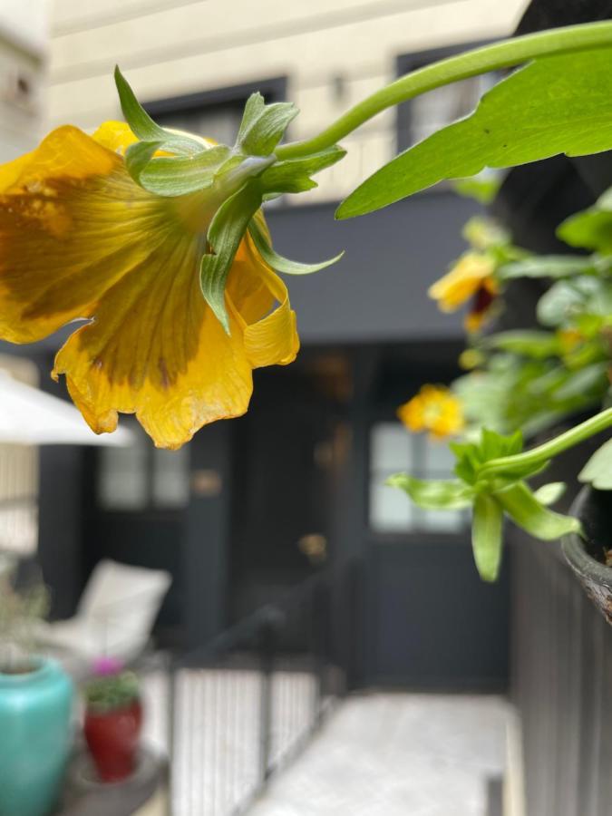 Villa Brown Tel-Aviv, A Member Of Brown Hotels 外观 照片